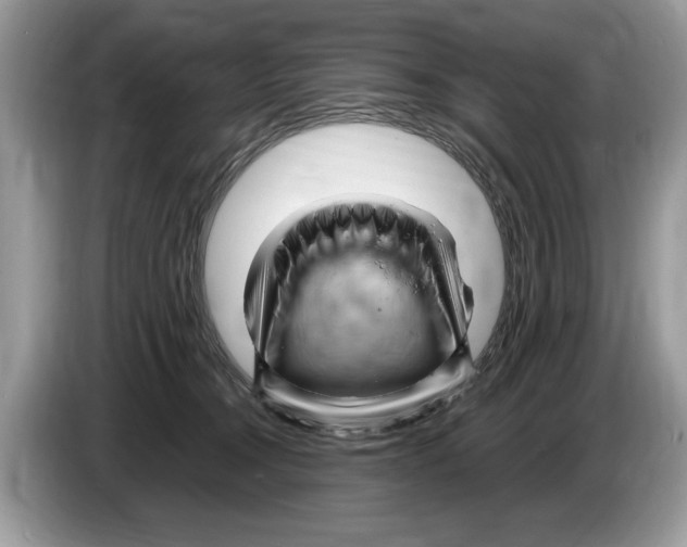 X0000086280372200704262041