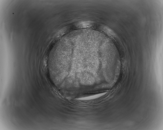 X0000086280373200704262041