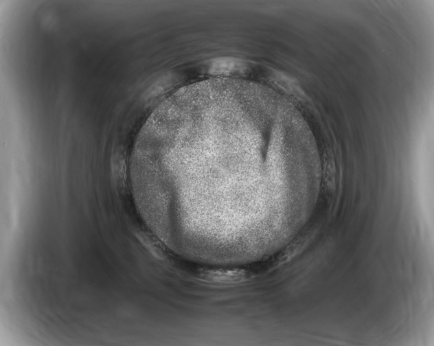 X0000086280375200704262041