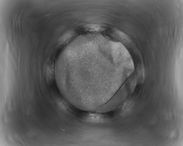 X0000086280376200704262041