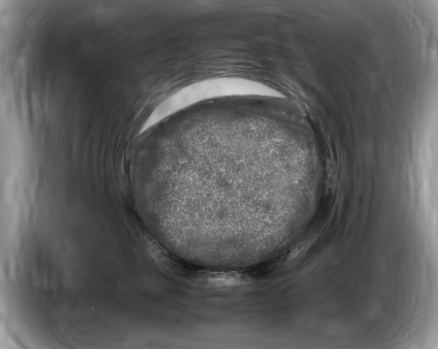 X0000086280377200704262041