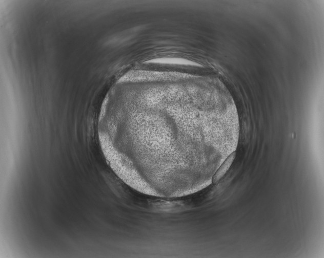 X0000086280379200704262041