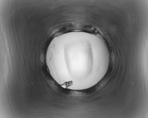 X0000086280380200704262041