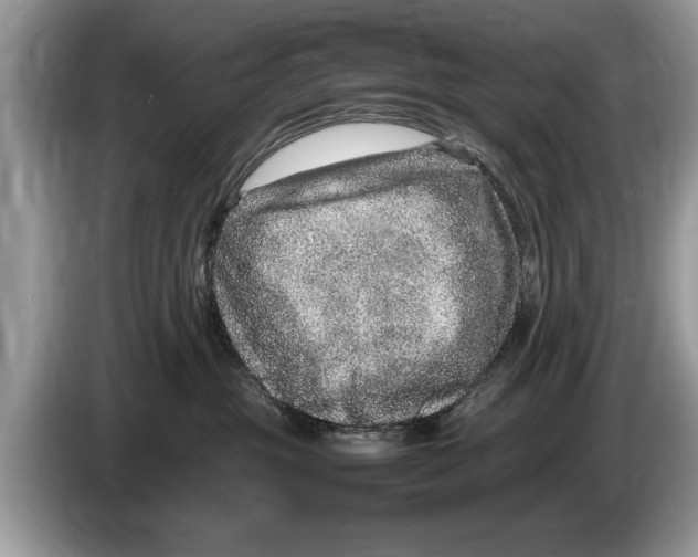 X0000086280381200704262041