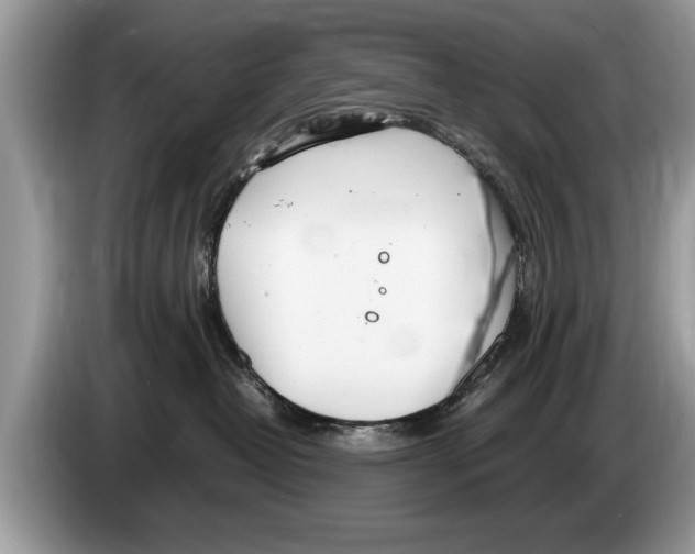 X0000086280382200704262041