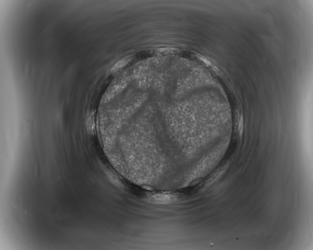 X0000086280383200704262041