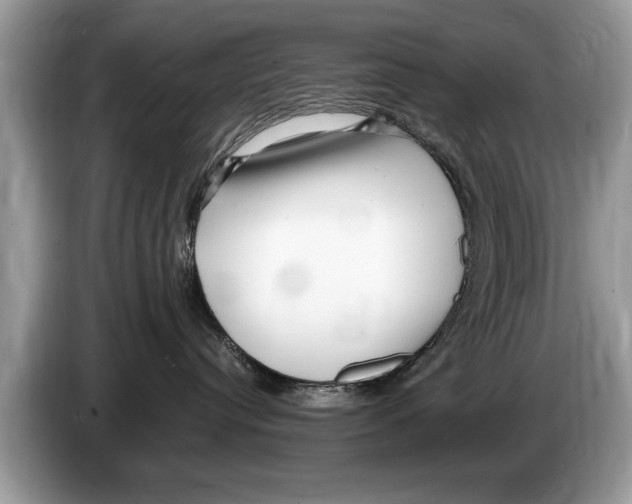 X0000086280384200704262041