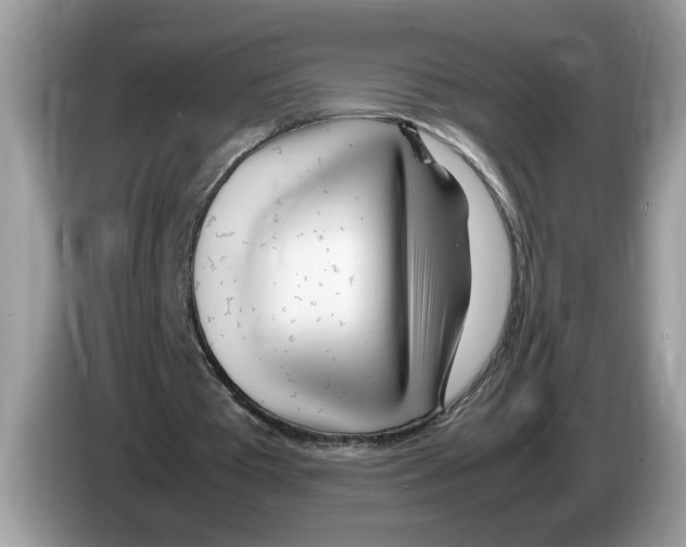 X0000086280385200704262040