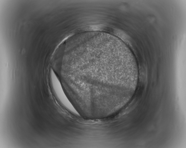 X0000086280386200704262040