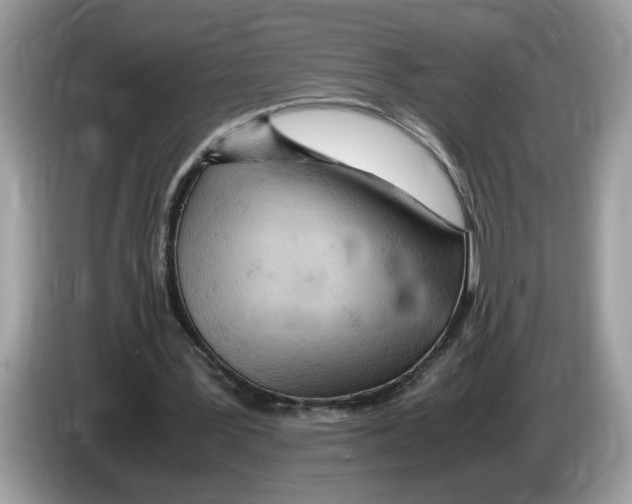 X0000086280387200704262040