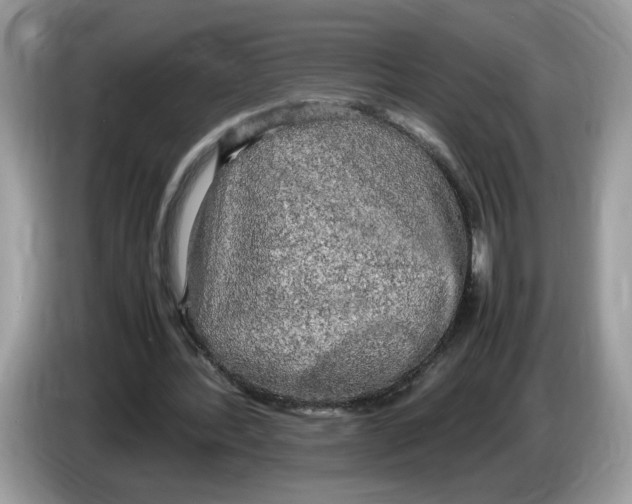 X0000086280388200704262040