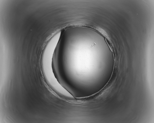 X0000086280389200704262040