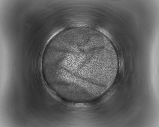 X0000086280390200704262040