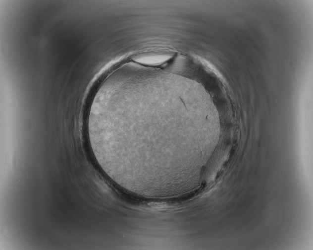 X0000086280391200704262040