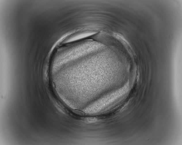 X0000086280392200704262040