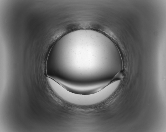X0000086280393200704262040