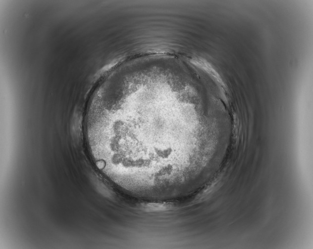 X0000086280394200704262040