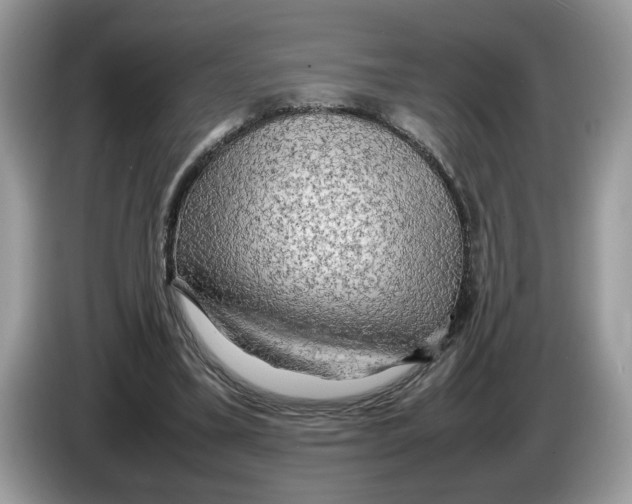 X0000086280395200704262040