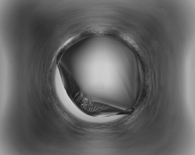X0000086280399200704262040