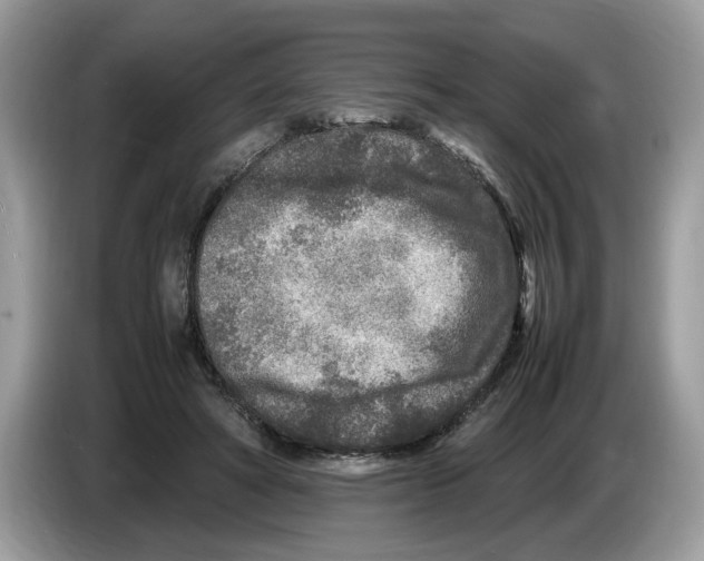 X0000086280402200704262040