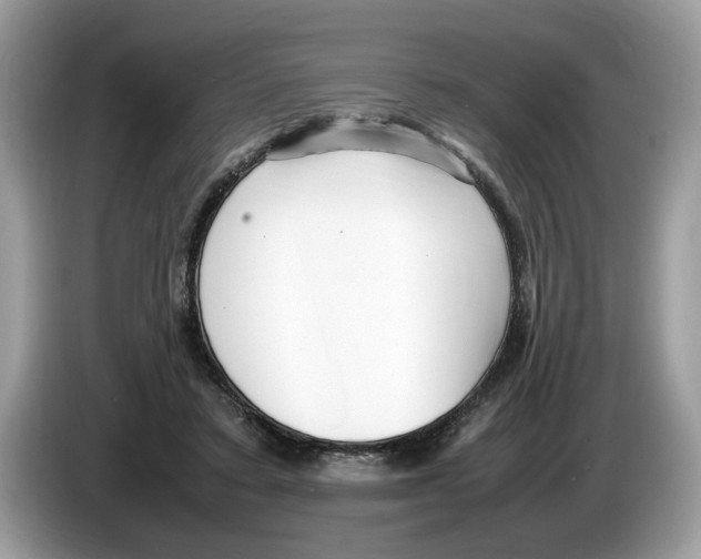 X0000086280403200704262040