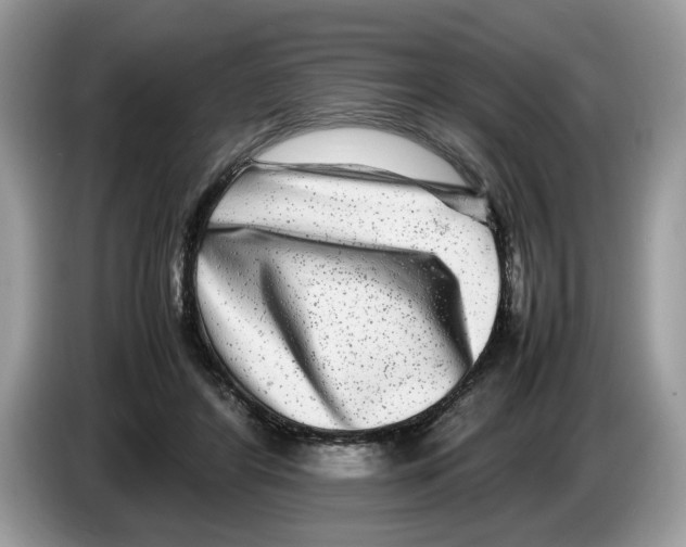 X0000086280404200704262040