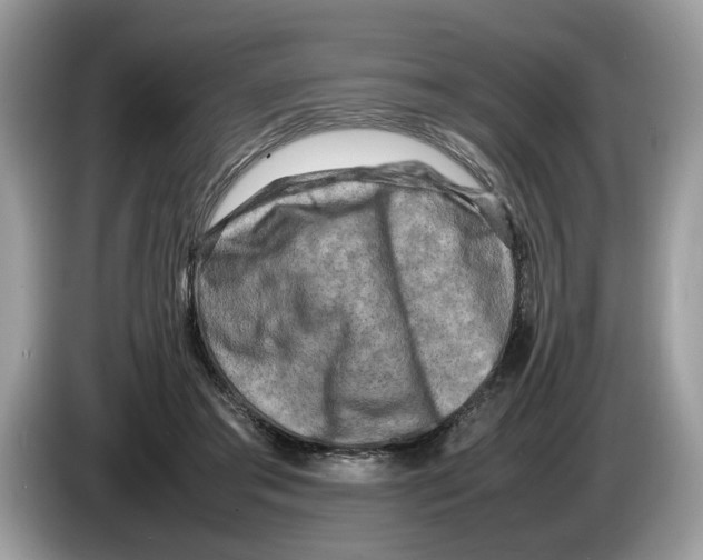 X0000086280405200704262040
