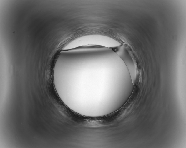 X0000086280407200704262040