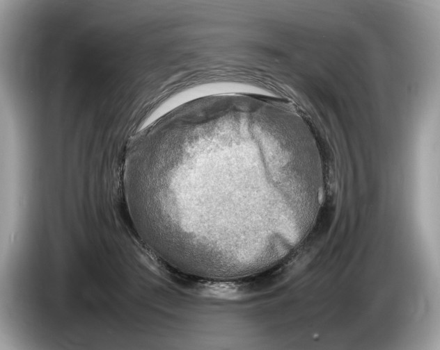 X0000086280409200704262040