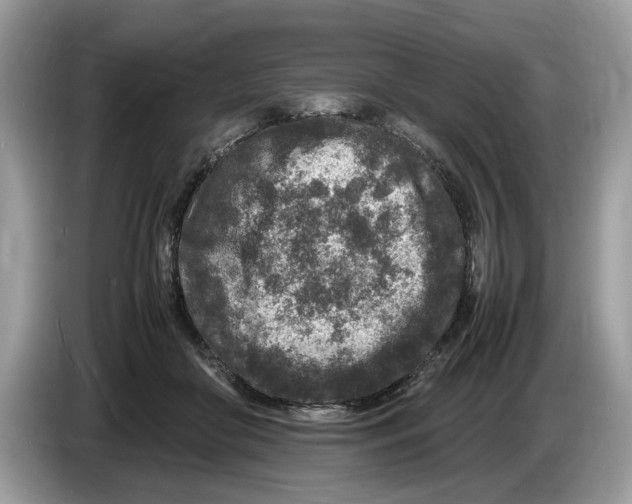 X0000086280410200704262040