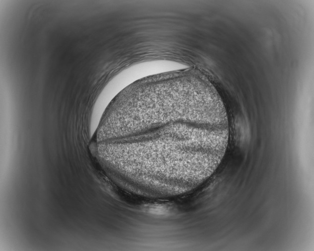 X0000086280412200704262040