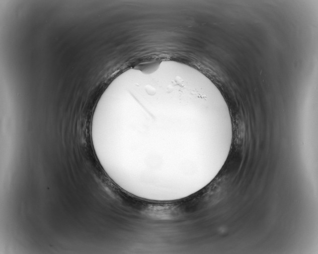X0000086280414200704262040