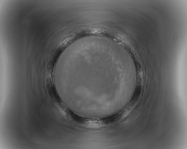 X0000086280415200704262040