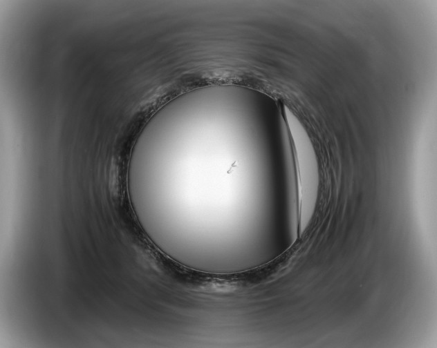 X0000086280416200704262040