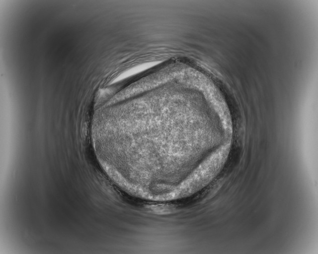 X0000086280417200704262040
