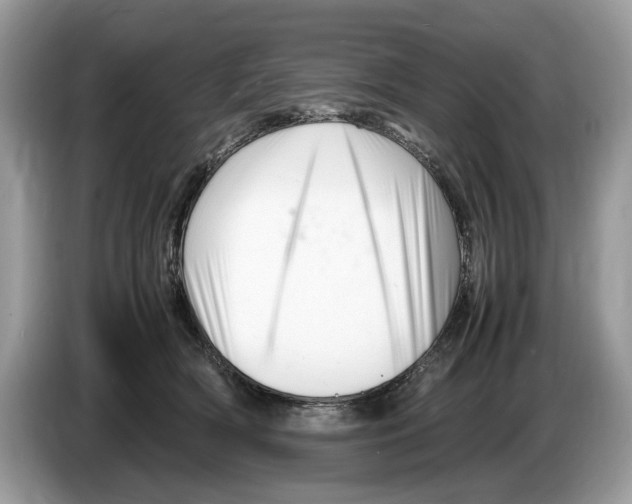 X0000086280418200704262040