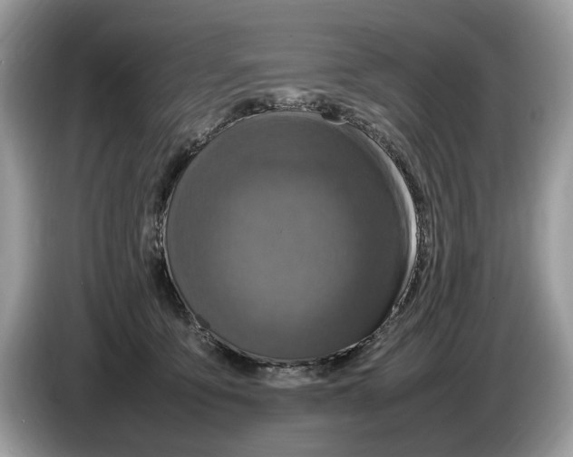 X0000086280419200704262040