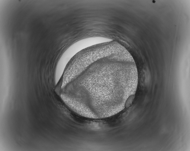 X0000086280420200704262040
