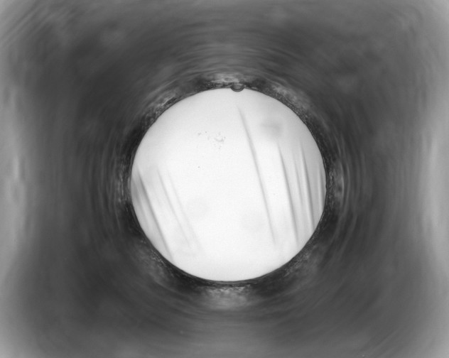 X0000086280422200704262040