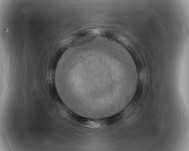 X0000086280423200704262040