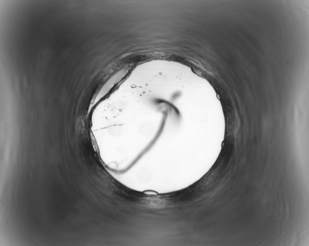 X0000086280425200704262040