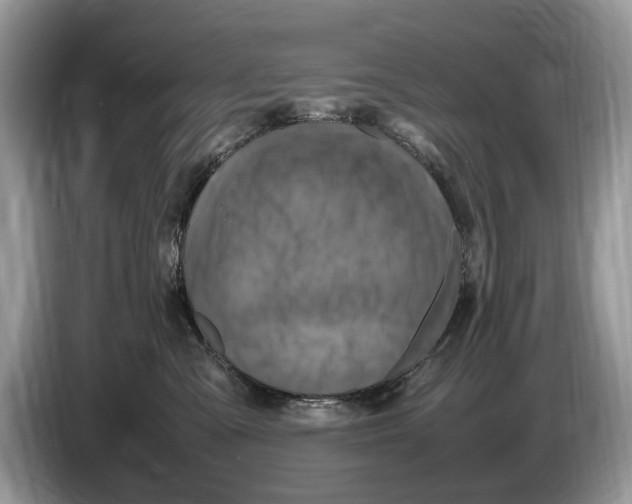 X0000086280427200704262040
