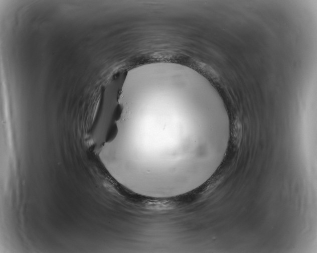 X0000086280428200704262040