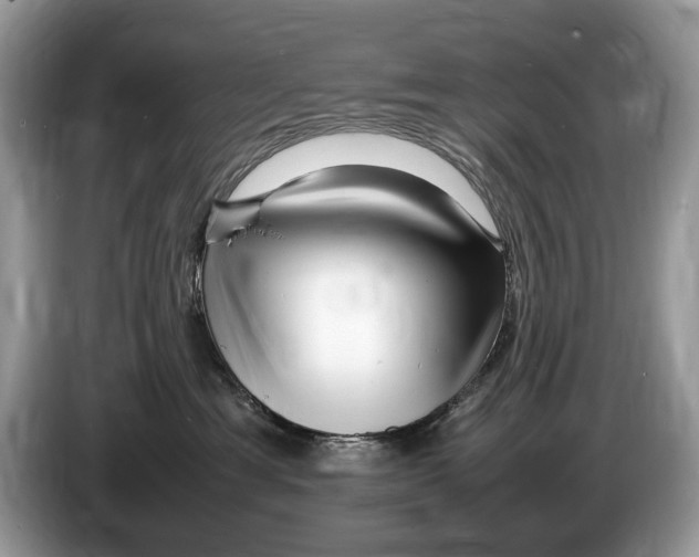 X0000086280429200704262040