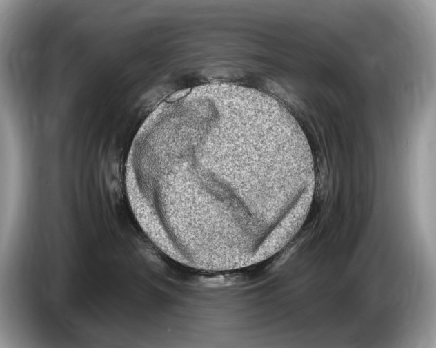X0000086280430200704262040