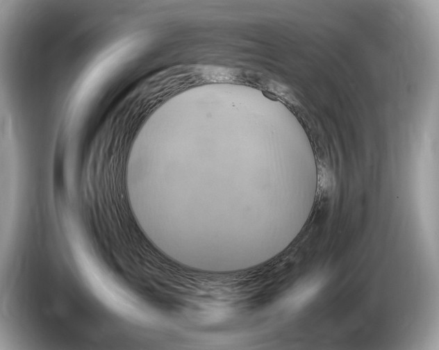 X0000086280431200704262040