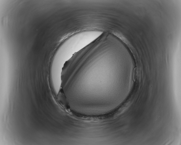 X0000086280434200704262039
