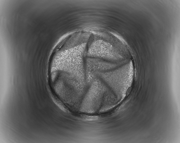X0000086280438200704262039