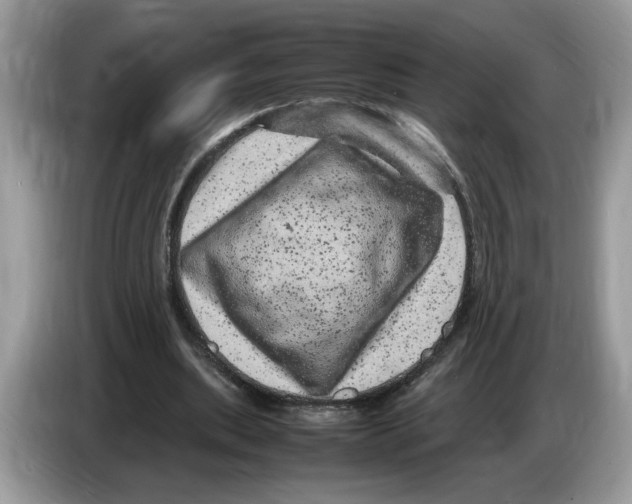 X0000086280439200704262039