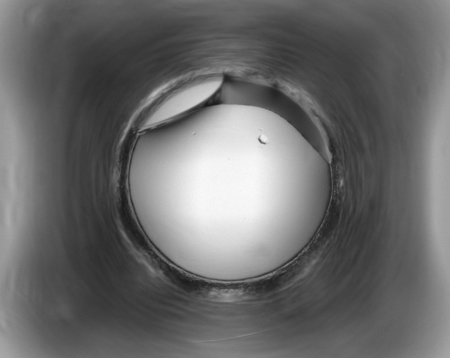 X0000086280440200704262039